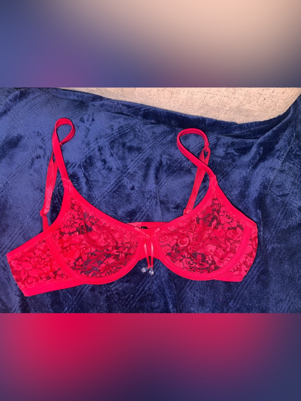 Victoria's Secret pink/red Lace Underwire Bra with Floral Sheer Cups